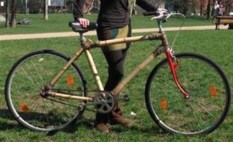 “Bamboo-bike” invade as ruas alemãs
