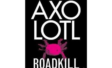 Axolotl Roadkill, o polêmico best-seller alemão