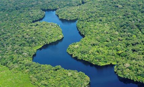 Brasil e Alemanha pela preservação da natureza