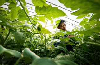 Bayer integra 7ª Jornada Técnica Agrodinâmica