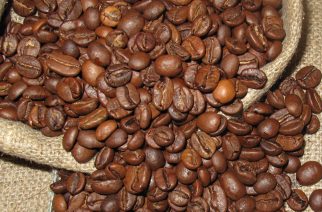BASF realiza estudo sobre sustentabilidade na produção de café