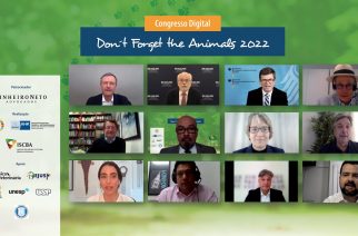 Don’t forget the animals: Primeiros dias de congresso discutem proteção e bem-estar para animais de pequeno e grande porte