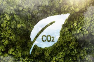 Savixx adquire selo Carbon Neutral e se torna pioneira em mais uma certificação ambiental