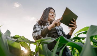 SAP acelera sete startups de agronegócio em programa de incentivo no Brasil