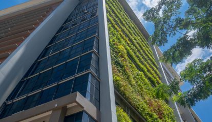 SAP Brasil apresenta avanços em ESG no Novo Relatório de Sustentabilidade