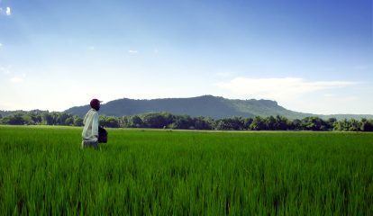 Bayer leva tecnologia e informação a pequenos e médios produtores de hortifrúti