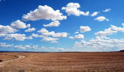 Inovações para agricultura da BASF são destaques em evento no Mato Grosso do Sul