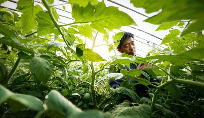 Bayer integra 7ª Jornada Técnica Agrodinâmica