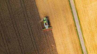 Bertuol Fertilizantes aposta no SAP S/4HANA para promover produtividade e inovação nos processos