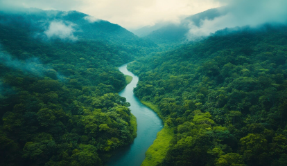 Fundação Amazônia Sustentável avança na gestão de dados com tecnologia da SAP