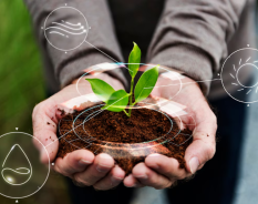 Symrise implementa projetos de Agricultura Regenerativa para fortalecer objetivos de sustentabilidade