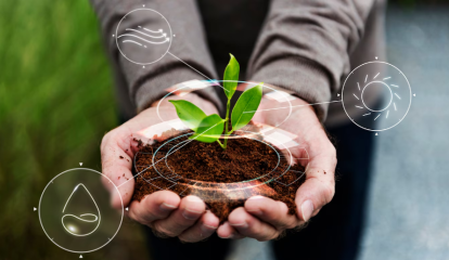 Symrise implementa projetos de Agricultura Regenerativa para fortalecer objetivos de sustentabilidade