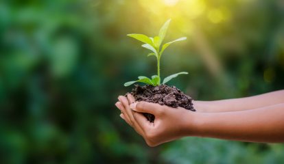 Brose do Brasil ganha Selo Clima Paraná pelo terceiro ano consecutivo