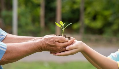 Grupo SAERTEX recebe prêmio EcoVadis pela primeira vez