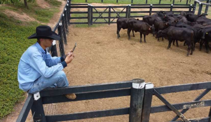 GHT4 aposta na pecuária digital