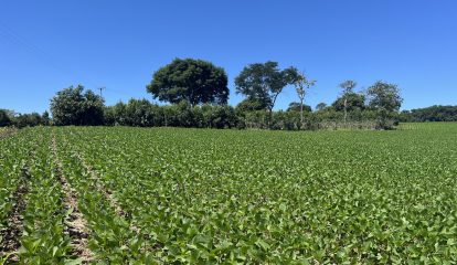 BASF inicia parceria para capacitar agricultores brasileiros em biodiversidade