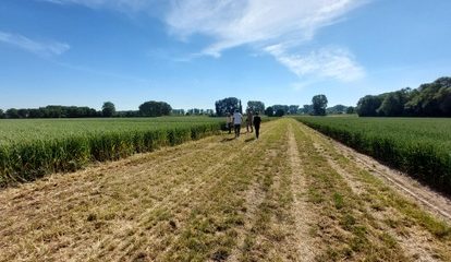 Testes globais da BASF mostram caminhos para Agricultura Sustentável