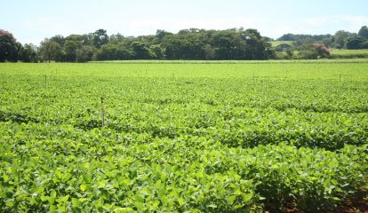 Estação de Pesquisa da BASF é legado de inovação