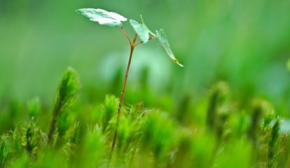 Wilo recebe o maior prêmio EcoVadis de sustentabilidade pela segunda vez consecutiva