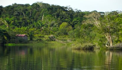 Fundação Amazônia Sustentável usa tecnologia de dados da SAP