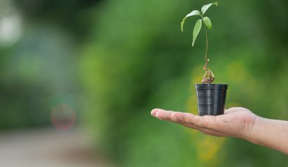 Bayer e ABRASS promovem treinamentos para o setor de produção de sementes de soja no país