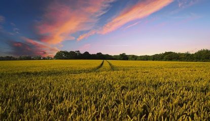 Bayer lança minissérie sobre o potencial do carbono na agricultura brasileira