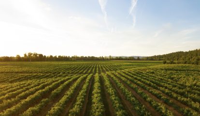 Pesquisa mostra como a digitalização está mudando a agricultura na Baviera