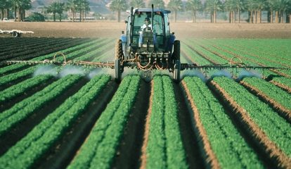 Bayer recompensará agricultores que gerarem créditos de carbono a partir de práticas agrícolas sustentáveis