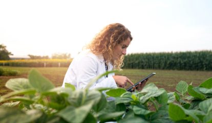 Bayer usa ferramentas digitais em transações de Barter para ampliar poder de compra de agricultores