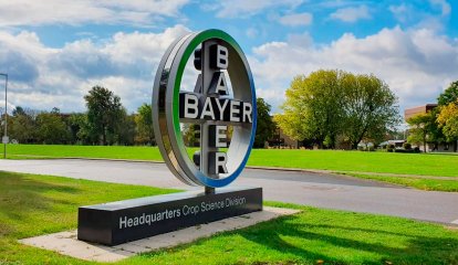 Bayer investirá R$ 3 milhões em projetos de cooperativas para fomentar inovação no agro