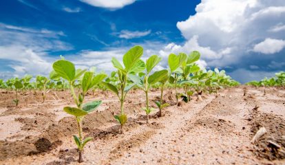 Bosch BASF Smart Farming agora é ONE SMART SPRAY