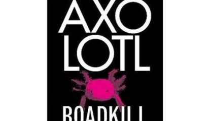 Axolotl Roadkill, o polêmico best-seller alemão