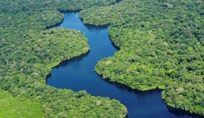 BASF transforma biodiversidade amazônica em inovação para indústria cosmética
