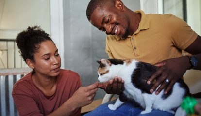 Boehringer Ingelheim lança nova marca corporativa