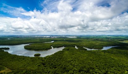 Voith anuncia projeto de pesquisa para otimizar a produção de papel