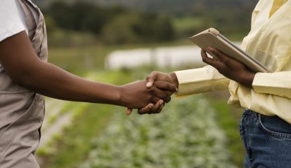 Bayer firma parceria estratégica com Microsoft para realizar transformação digital no agronegócio