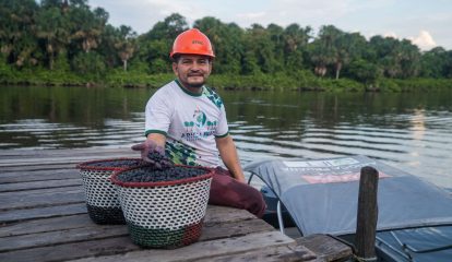 Stihl apoia websérie sobre a importância do manejo sustentável