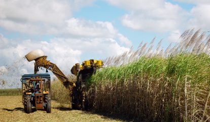 BASF e ACE lançam aceleradora de startups para agronegócio