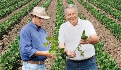 Bayer CropScience adquire empresa argentina de sementes