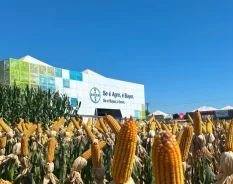 Bayer inova com soluções de proteção de cultivos e sementes de ponta em feira agrícola