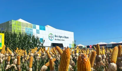 Bayer inova com soluções de proteção de cultivos e sementes de ponta em feira agrícola