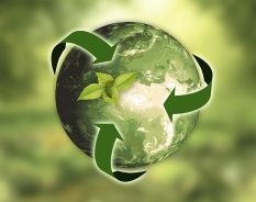 SAP lança Desafio Net Zero e solução SAP Green Ledger no Brasil