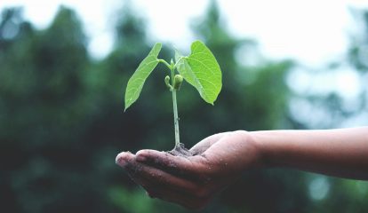 No Mês do Meio Ambiente, Colégio Humboldt reforça compromisso com a sustentabilidade