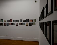 Centro Histórico e Cultural Mackenzie recebe exposição inédita da artista Carolina Vigna
