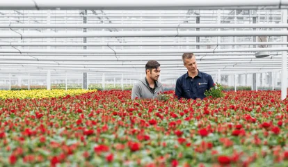 Festo automatiza propagação de rosas com terminal de válvulas VTUX