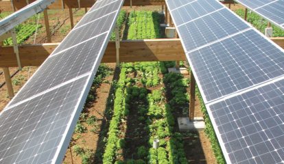 Plano Safra reduz recursos para transição energética com energia solar e sistemas de armazenamento, alerta ABSOLAR