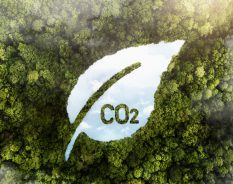 Tero Carbon lança nova versão de seus Programas de Certificação, Metodologia e Ativos e é a única certificadora brasileira preparada para o mercado regulado