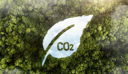 Tero Carbon lança nova versão de seus Programas de Certificação, Metodologia e Ativos e é a única certificadora brasileira preparada para o mercado regulado