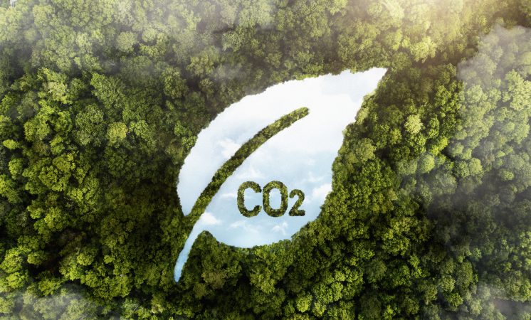 Tero Carbon lança nova versão de seus Programas de Certificação, Metodologia e Ativos
