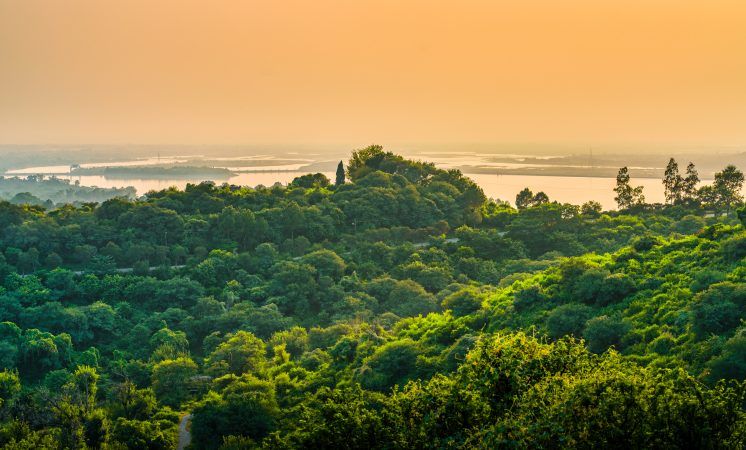 STIHL renova parceria para conservação e pesquisa da natureza com PUCRS